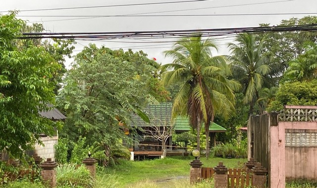 ขายบ้านเดี่ยว   อำเภอเมืองพัทลุง พัทลุง ( PKK02-14461)