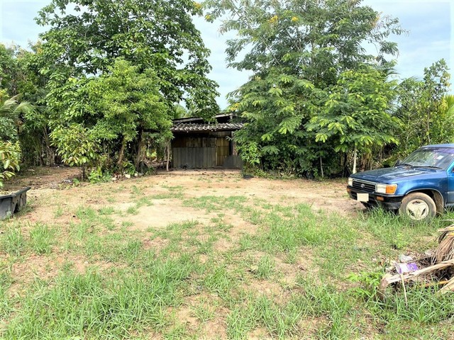 ขายบ้านเดี่ยว   อำเภอเมืองพัทลุง พัทลุง (PKK02-14420)