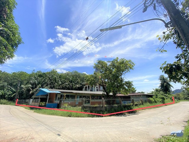 รายละเอียดเพิ่มเติมCode ID :    PKK02-12389ราคาขาย        4,094,000 บาท- ขนาดพื้นที่ :    372 ตร.ว (3 งาน / 72 ตร.ว)- พื้นที่ใช้สอย :      222 ตร.ม- จำนวนห้อง :   2 ห้องนอน 2 ห้องน้ำ- ที่จอดรถ :   1-2 คัน- บ้านเดี่ยว :      1 ชั้น- บ้านบ้านเดี่ยวหันทางทิศ : -- อายุอาคาร :    29 ปีพิกัดทรัพย์ :    https://maps.app.goo.gl/3traQ8xyaTmKxnEZ8สถานที่ใกล้เคียง- ใกล้ตลาดเพียรพลาซ่า- ใกล้โลตัส พัทลุง- ใกล้โลตัส โกเฟรช พัทลุงทาวน์ พัทลุง- ใกล้โรงพยาบาลพัทลุงสอบถามเพิ่