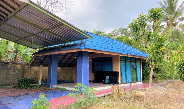 ขายบ้านเดี่ยว     อำเภอป่าพะยอม  พัทลุง (PKK02-14113)