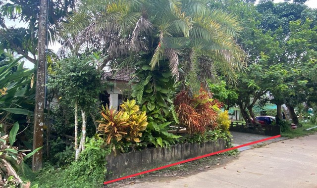 ขายบ้านเดี่ยว     อำเภอบางแก้ว พัทลุง (PKK02-10696)