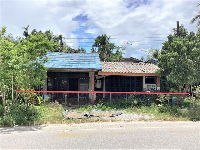 รายละเอียดเพิ่มเติมCode ID : PKK02-15817ราคาขาย      1,402,000 บาท- ขนาดพื้นที่ :   77 ตร.ว - พื้นที่ใช้สอย :    148.75 ตร.ม- จำนวนห้อง :  2 ห้องนอน 1 ห้องน้ำ- ที่จอดรถ :   1-2 คัน- บ้านเดี่ยว :     1 ชั้น- บ้านบ้านเดี่ยวหันทางทิศ : -- อายุอาคาร :    19 ปีพิกัดทรัพย์ :    https://maps.app.goo.gl/h9biwZtuVFhS9QpM9สถานที่ใกล้เคียง- ใกล้โรงพยาบาลตะโหมด - ใกล้โรงเรียนเทศบาลตะโหมด- ใกล้โรงเรียนประชาบำรุง(อุทิตกิจจาทร)- ใกล้วัดตะโหมดสอบถามเพิ่มเติม/นั�