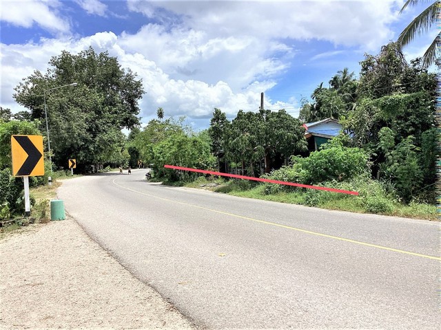 ขายบ้านเดี่ยว       อำเภอตะโหมด พัทลุง (PKK02-15817)