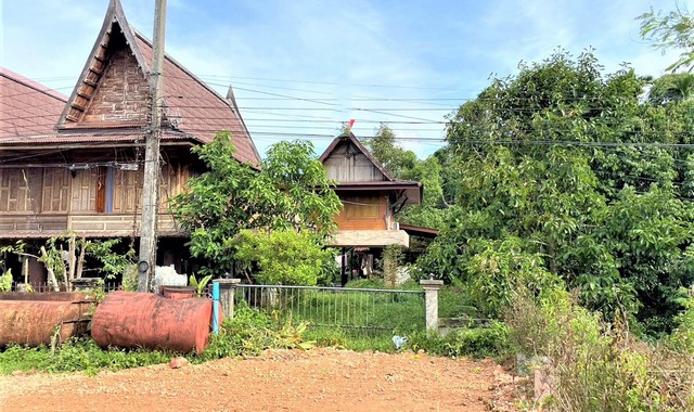 ขายบ้านเดี่ยว       อำเภอตะโหมด พัทลุง (PKK02-14639)