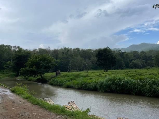 ขายด่วน! ที่ดินติดแม่น้ำ 1.9 ล้าน โซนแม่วาง 2 ไร่ 2 งาน 19 ตรว. ใกล้ปางช้าง ติดจุดขึ้นแพ สามารถยื่นขอสร้างสะพานข้ามแม่น้ำได้ ไฟฟ้าเข้าถึง