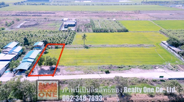 ขายที่ดิน ถมบางส่วน ติดถนนคอนกรีต คลองลากค้อน ต.หน้าไม้ ลาดหลุมแก้ว ปทุมธานี