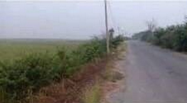 ขายที่ดิน 4-1-88 ไร่ ฉ.5028 ต.มหาราช อ.มหาราช จ.พระนครศรีอยุธยา โฉนด ไร่ละ 320,000 บาทแบ่งขาย ติดถนนคอนกรีต ถนนดำ ไฟฟ้าประปาเข้าถึงแล้ว สาธารณูปโภคครบครัน  คมนาคมเดินทางสะดวกสบาย ใกล้ทางหลวงทางหลัก 4007 ย่านแหล่งชุมชน อยู่ใกล้สถานที่สำคัญหลายแห่ง ใกล้ที่ว่าการอำเภอมหาราช โรงพยาบาลมหาราช โลตัสมหาราช โรงเรียนมหาราชประชานิมิต  การไฟฟ้า สำนักงานเทศบาลตำบลมหาราช สำนักงาน