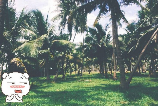 ขายที่ดินติดทะเล แปลงเล็กแบ่งขาย 100 วาขึ้นไป ตารางวาละ 6500 บาท  หาดผาฝั่งแดง  UNSEEN YHAILAND  ที่ดินหายาก แห่งเดียวในประเทศไทย ที่ดินใกล้ทะเลบนเนินผาสง่างาม แลเห็นทิวทัศน์รายล้อมสวยงามตระการตา พร้อมขาย ขายพร้อมโอน ขายที่ดินใกล้ทะเล หาดผาฝั่งแดง ทะเล สูงจาก ระดับน้ำทะเลประมาณ 5- 6 เมตร ฝั่งแดง ทะเลสวยน้ำใส ชุ่มฉ่ำเย็นสบายตลอดปี ไม่มีเบื่อ หนีร้อนคลายทุกข์สูดอากาศสดช