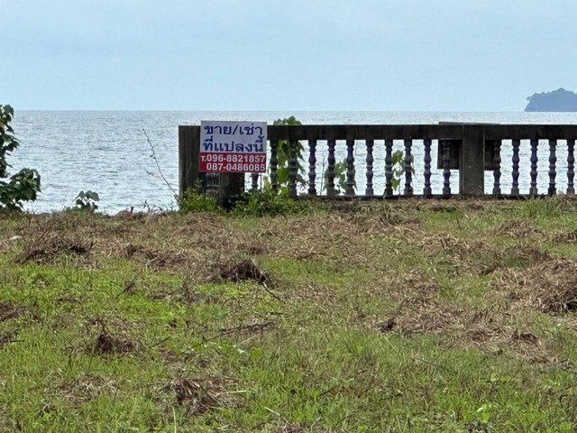 ขายที่ดิน ติดทะเล หาดส่วนตัว 119 ตร.วา และ 145 ตร.วา  ราคา 6.8ลบ. และ 7.3ลบ. ที่ดินริมหาดส่วนตัว ที่ดินติดทะเลหาดสะพลี ถัดไปคือหาดทุ่งวัวแล่น ทะเลสวยน้ำใสสีครามทรายขาว ทิวทัศน์สดชื่นชุ่มฉ่ำเย็นสบาย สวย โดดเด่น สง่า หายาก เหลือไม่กี่แปลงแล้วในแถบนั้น ตรงอ่าวนี้ สโลแกนคือ หาดสวย น้ำใส หนึ่งในสยาม ได้รับการรับรองจากกรมทรัพยากรและสิ่งแวดล้อม อ่าวสะพลีมีจุดเด่นได้รั