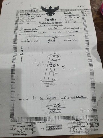 ขาย ที่ดิน ขนาด 1 ไร่ พร้อมบ้านใหม่และสวนมะพร้าวอ่อน  อำเภอชะอำ จังหวัดเพชรบุรี