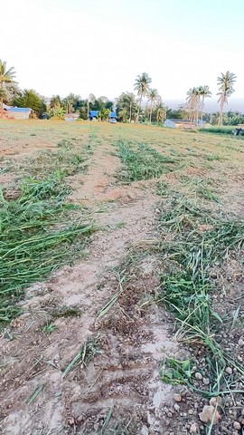  ขายที่ดินถมแล้วขนาด 8 ไร่ 2 งาน 45 ตารางวา อำเภอหัวหิน จังหวัดประจวบคีรีขันธ์#รายละเอียดทรัพย์-ที่ดินขนาด 8ไร่ 2 งาน 45 ตารางวา 3โฉนด-ตั้งอยู่ตำบลหินเหล็กไฟ อำเภอหัวหิน จังหวัดประจวบคีรีขันธ์-อยู่ติดถนนหมายเลข 4010-อยู่ใกล้กลุ่มเกษตรกรหมู่บ้านหินเหล็กไฟ**** ราคาเพียงไร่ละ 2 ล้านบาท#สนใจติดต่อโทร0979207789Land for sale, already filled in, size 8 rai 2 ngan 45 square wah, Hua Hin District, Prachuap Khiri Khan Province.#Property details-Land size 8 rai 2 ngan 45 square wa, 3 title deeds-Locate