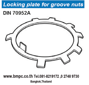 Tab washer, Tab washer with long tab, Tab washer with long tab and wing, Disc sping