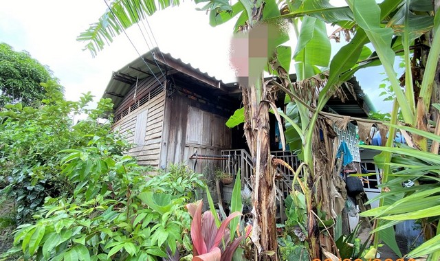 ขายบ้านเดี่ยว   อำเภอเมืองภูเก็ต ภูเก็ต (PKK02-14346)