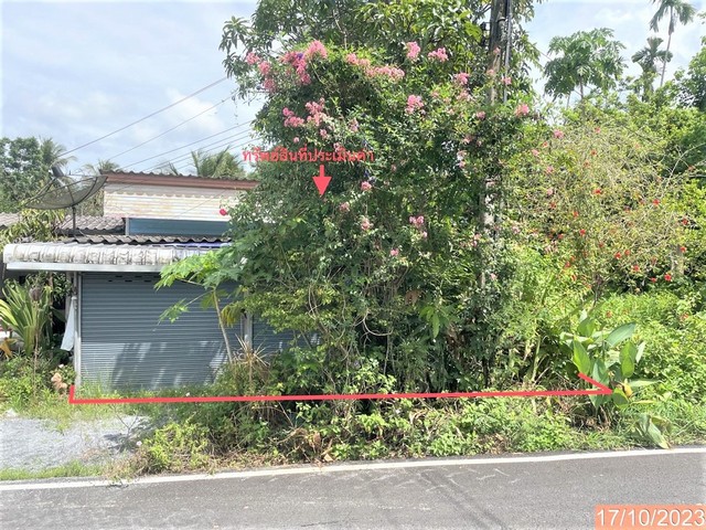   รายละเอียดเพิ่มเติม Code ID : PKK02-15901  ราคาขาย  1,109,000 บาท- ขนาดพื้นที่ : 137.00 ตร.ว.  - พื้นที่ใช้สอย : 57.50 ตร.ม.  - จำนวนห้อง :  1 ห้องนอน 1 ห้องน้ำ  - ที่จอดรถ :    1   คัน- บ้านหันทางทิศ : - พิกัดทรัพย์ : https://maps.app.goo.gl/qa9tRPWJYZVn126R9    สถานที่ใกล้เคียง- ใกล้โรงพยาบาลร่อนพิบูลย์ - ใกล้โลตัส โก เฟรช ร่อนพิบูลย์ ,นครศรีธรรมราช - ใกล้CP Freshmart ร่อนพิบูลย์-ร่อนพิบูลย์- ใกล้โสภณฟู้ดส์มาร์เก็ต สอบถามเพิ่มเติม/นัดชมโทร. 097-419-5982(พ�