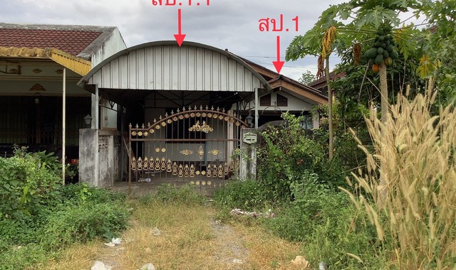   รายละเอียดเพิ่มเติม Code ID : PKK02-14059  ราคาขาย 2,116,000  บาท- ขนาดพื้นที่ :   60.00 ตร.ว.- พื้นที่ใช้สอย :  131.25 ตร.ม. - จำนวนห้อง :  2 ห้องนอน 1 ห้องน้ำ  - ที่จอดรถ :    1   คัน- บ้านหันทางทิศ : - พิกัดทรัพย์ : https://maps.app.goo.gl/BTcXZn34YmAiqSo68    สถานที่ใกล้เคียง- ใกล้โรงพยาบาลบางขัน- ใกล้คลังสินค้าขายทุกอย่าง  - ใกล้โลตัส โก เฟรช บางขัน นครศรีธรรมราช- ใกล้ตลาดนัดบ้านหนองเจ สอบถามเพิ่มเติม/นัดชมโทร. 097-419-5982(พลอย)โทร. 096-932-4624(ออมสิน