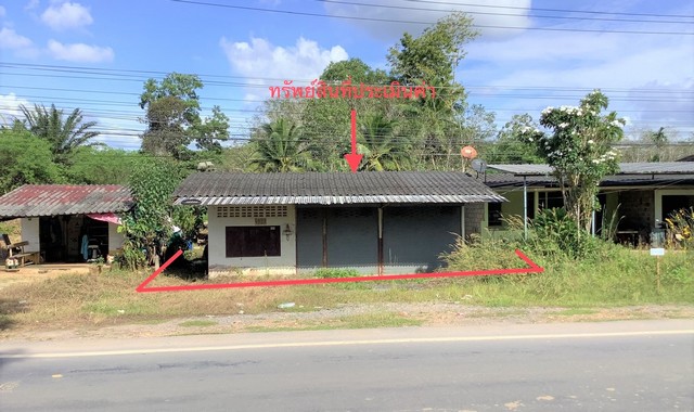   รายละเอียดเพิ่มเติม Code ID : PKK02-14181  ราคาขาย 2,204,000  บาท- ขนาดพื้นที่ :  98.00 ตร.ว. - พื้นที่ใช้สอย :  152.00 ตร.ม. - จำนวนห้อง :  1 ห้องนอน 1 ห้องน้ำ  - ที่จอดรถ :    1   คัน- บ้านหันทางทิศ : -พิกัดทรัพย์ : https://maps.app.goo.gl/ZzLjppLue7F2sRcW6    สถานที่ใกล้เคียง- ใกล้โรงพยาบาลบางขัน- ใกล้คลังสินค้าขายทุกอย่าง - ใกล้โลตัส โก เฟรช บางขัน นครศรีธรรมราช- ใกล้ตลาดนัดบ้านหนองเจ สอบถามเพิ่มเติม/นัดชมโทร. 097-419-5982(พลอย)โทร. 096-932-4624(ออมสิน)L