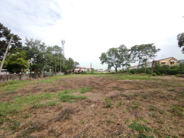 ขายที่ดินลำลูกกาคลอง 2 ขนาด 1-0-50 ไร่ ลำลูกกา 11 ใกล้โรงเรียนประสานมิตร BTS คูคต