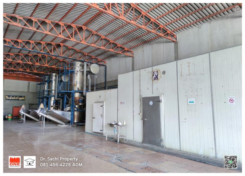 M08215ที่ดินพร้อมสิ่งปลูกสร้าง ตัวเมืองลำพูน ถนนสันเหมืองใต้ ใกล้ตลาดสดหนองดอก– เนื้อที่ 5 ไร่ 79.4 ตารางวา (2,079.4 ตรว.)– ที่ดินรูปทรงสี่เหลี่ยม กว้าง 76 ม. ยาว 115 ม. โดยประมาณ– พื้นที่ผังเมือง สีส้ม– ที่ดินหันทาง ทิศตะวันออกเฉียงใต้– ที่ดินติด ถนนทางสาธารณะ 2 ด้าน ถ.จามเทวี ซ.1 (ทิศตะวันออกเฉียงเหนือ, ทิศตะวันตกเฉียงเหนือ)– ทางเข้าที่ดินหลัก เป็นทางภาระจำยอม ถนนกว้าง 7 ม. ลึก