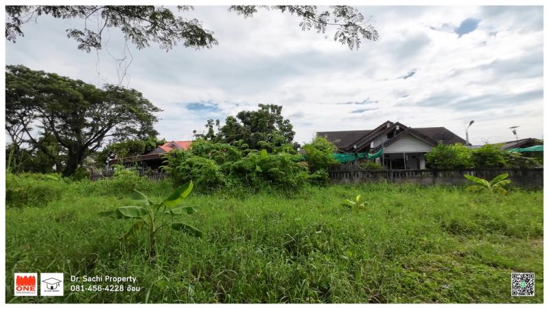 ขายที่ดินในตัวเมืองลำพูน ติด ถ.เชียงใหม่-ลำพูน เนื้อที่ 7-2-66.7 ไร่ ติด รร.เทศบาลสันป่ายางหน่อม, ใกล้ตลาดสุขใจ