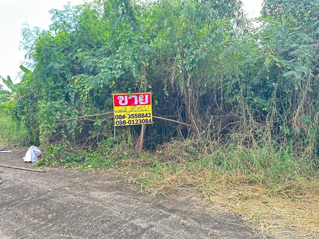 ขายที่ดิน 50 ตารางวา บางระมาด 11 หมู่บ้านมหาดไทย2  ซ.5 ขวา   ZT286