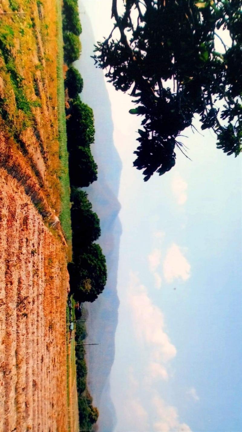 ขายที่ดิน 900 ไร่ ติดถนนซุปเปอร์ หน้าโรงพยาบาลแม่วาง  เชียงใหม่  LH-SC000345