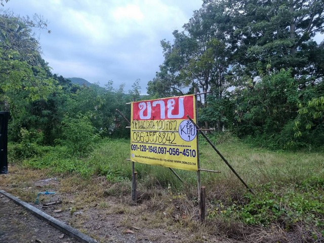 ZT293 ขายที่ดินเปล่า อยู่ในโครงการปากช่อง ชินเนอร์รี่ (PAK CHNG SCENERY)เนื้อที่ 100 ตารางวากว้าง 14 เมตร ลึก 22 เมตรที่ตั้ง: ตำบลขนงพระ อำเภอปากช่องจังหวัดนครราชสีมาสถานที่ใกล้เคียงบ้านไร่แสงอรุณไร่นายทองก้อนวัดเขาแม่ชีโรงเรียนปากช่อง 2ราคา 1,700,000 บาท /17,000 บาทต่อวาติดต่อหนุ่ม 0880123084ยุ้ย 0863558842