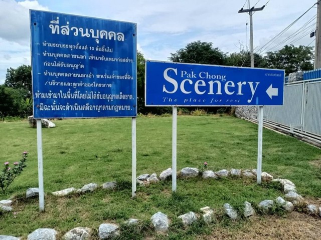 ขายที่ดินเปล่า 100 ตารางวา  อยู่ในโครงการปากช่อง ชินเนอร์รี่  (PAK CHNG SCENERY)  ปากช่อง นครราชสีมา   ZT293