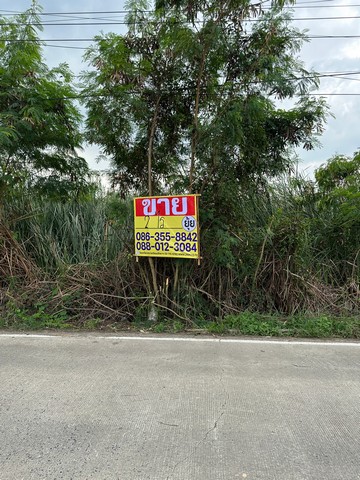 ZT295 ขายที่ดิน ซอยคลองสาม 1/17 ถนนรังสิต-นครนายก เนื้อที่ 2 ไร่กว้าง 36 เมตร ลึก 90 เมตรที่ตั้ง : ตำบลคลองสาม อำเภอคลองหลวง  ปทุมธานี สถานที่ใกล้เคียง-หมู่บ้านพฤกษา 11 -โรงเรียนอนุบาลผลิใบ -ดูแลรักบ้านพักคนชรา-ทางด่วนดอนเมืองโทลล์เวย์ -ทางด่วนวงแหวนตะวันออก-ฟิวเจอร์พาร์ครังสิต-วัดธรรมกาย- สวนสนุกดรีมเวิลด์ราคา 8,900,000 บาท /11,125 บาทต่อวาติดต่อหนุ่ม 0880123084ยุ้ย 0863558842