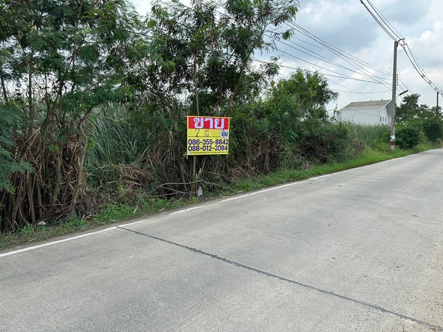 ขายที่ดิน เนื้อที่ 2 ไร่  ซอยคลองสาม 1/17  ถนนรังสิต-นครนายก   คลองหลวง  ปทุมธานี   ZT295