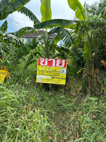 ZT294 ขายที่ดิน บางระมาด 11หมู่บ้านมหาดไทย2 (ซ.5 ขวา) เนื้อที่ 52 ตารางวากว้าง 15 เมตร ลึก 16.5 เมตรที่ตั้ง : ซอยบางระมาด 11 ตำบลบางระมาด อำเภอตลิ่งชัน จังหวัด กรุงเทพมหานครสถานที่ใกล้เคียง-ตลาดน้ำคลองลัดมะยม-ร.ร.โพธิสาร-วัดอินทราวาส-เดอะเซอร์เคิล-เดอะทาซิโอ-รพ.ศิริราช-รพ.ธนบุรี2-ตลาดฟู้ดวิลล่า-สถานีขนส่งสายใต้ใหม่- การเดินทางสะดวกถ.ทางพิเศษกาญจนาภิเษกถ.พุทธมณฑลสาย1,ถ.พรานน