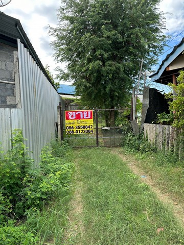 ZT284 ขายที่ดิน ซอยทับยาว 7 เนื้อที่ 100  ตารางวากว้าง 18 เมตร ลึก 24 เมตรที่ตั้ง : ซอยทับยาว 7 แขวงทับยาว เขตลาดกระบัง จังหวัดกรุงเทพมหานครสถานที่ใกล้เคียง– ใกล้สนามบินสุวรรณภูมิ – ใกล้ ICD ลาดกระบัง – ใกล้มอเตอร์เวย์ กรุงเทพ-ชลบุรี(สายใหม่)– ใกล้ นิคมนำไกร– ใกล้สถาบันเทคโนโลยีพระจอมเกล้าเจ้าคุณทหาร– ใกล้โรงพยาบาลจุฬารัตน์ 8– ตลาดนัดทับยาว ราคา 2,000,000 บาท /20,000 บาทต่อตารางวา