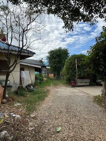 ขายที่ดิน เนื้อที่ 100  ตารางวา  ซอยทับยาว 7  ลาดกระบัง กรุงเทพมหานคร ZT284