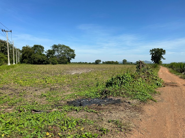 ขายที่ดิน เนื้อที่ 31-0-31 ไร่   อำเภอโคกเจริญ ลพบุรี   ZT288