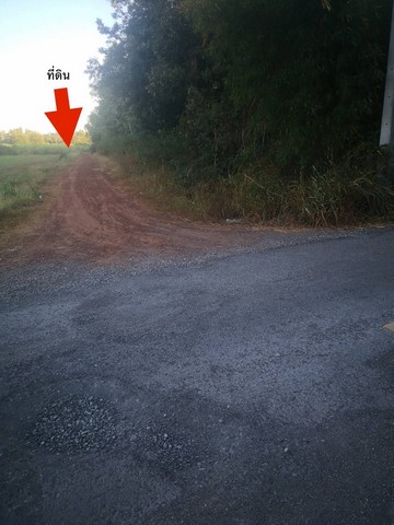 ขายด่วน ที่ดิน ขนาด 15 ไร่ 80 ตรว. ต.บ้านหนองบัว อ.บ้านฝาง จ.ขอนแก่น