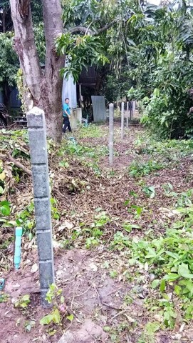 ขายด่วนที่ดิน เนื้อที่ 2ไร่ 214 ตรว.   ขายยกแปลง ต.ดินทอง อ.วังทอง จ.พิษณุโลก