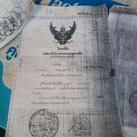 ขายที่ดินเปล่าพร้อมสวนลำไย ขานดเนื้อที่ 2ไร่ 0 งาน 31ตรว. เอกสารสิทธิ์ นส 3 ก ( สามารถยื่นเข้าสินเชื่อได้ )‼️⁉️ พิกัด...บ้าน ป่างิ้ว  ตำบล.สง่าบ้าน  อ.ดอยสะเก็ด จ.เชียงใหม่..‼️  เหมาะกับกลุ่มนักลงทุน อสังหา Developer ขนาดเล็ก แบ่งออกเป็น 8-9 แปลงรวมถนน มี 3 ช้อยราคา 1 ตรว.ละ 6,000 2ไร่ ???? 4,800,000 บาท ค่าโอนกรมสิธิ์คนละครึ่ง 2  ราคา  5,000,000  บาท ฟรี่ค่าโอน 3 ราคา 4,000,000 บาท ( แบ่ง% ค่าโอนกรมสิทธิ์ทุกอย่า