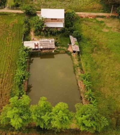 บ้านสวน 1 ไร่ 1 งาน ใกล้ตัวเมืองเชียงใหม่  ซื้อเก็บไว้เก็งกำไร รีโนเวททำพูลวิลล่า คาเฟ่ ก็คุ้ม 