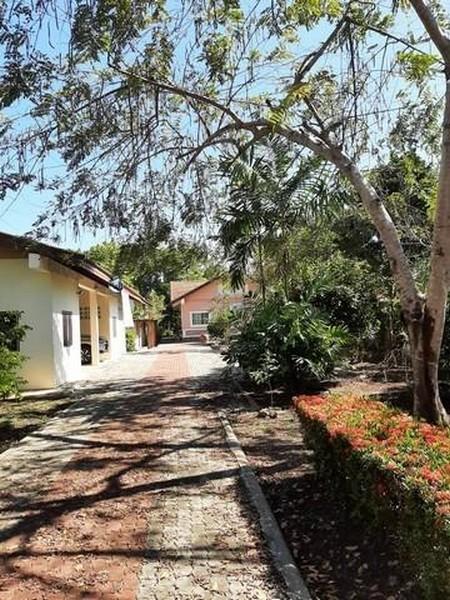 ขายที่ดินติดแม่น้ำแม่กลอง 1-3-99 ไร่ และที่งอกริมตลิ่ง ย่านท้ายหาด