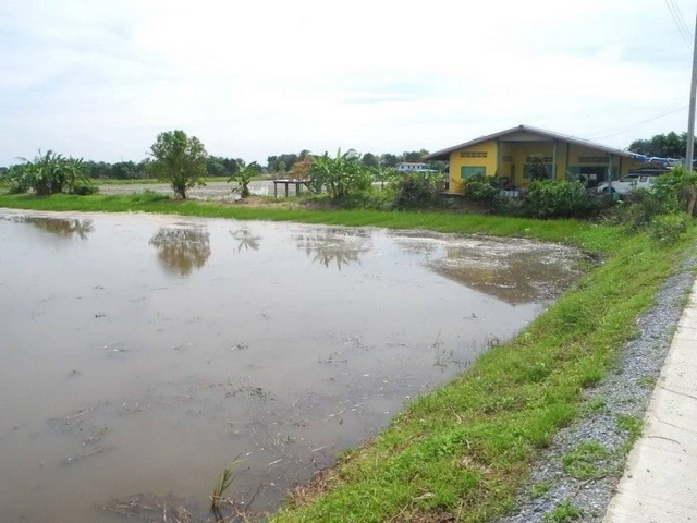 ขายที่ดินขนาด 3 ไร่ 3 งาน 6 ตารางวา ใกล้หมู่บ้านพฤกษา 33  บางบัวทองจังหวัดนนทบุรี