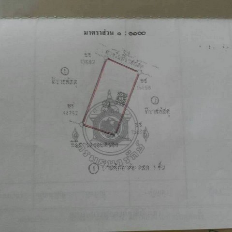 ขายครับ.....ที่ดิน 140 ตรว  ตั้งอยู่ ต.ช้างเผือก อ.เมืองเชียงใหม่ ++ ติดเชิงดอยร่มรื้น ต้นไม้ใหญ่ปกครุม++ ฤดูร้อนอากาศเย็นสบาย++ สงบเงียบ++ อยู่ด้านหลังหอประชุมนานาชาติเชียงใหม่++ ติดกับศีรีารารีสอร์ท++ ทางเข้าออกกว้าง ทางเข้าออก แยก 2 ทาง++ ราคาตั้งใว้.....ตรวละ 38,000 ฿ 5.3 ล้านทุกทรัพย์ผมไปดูถึงที่ สนใจสอบถาม ตอบได้ครับนายหน้าวัฒน์ อสังหาเชียงใหม่ นำเสนอครับ T.0629927643
