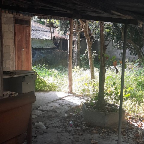 ขายที่ดิน 140 ตรว  ตั้งอยู่ ต.ช้างเผือก อ.เมืองเชียงใหม่