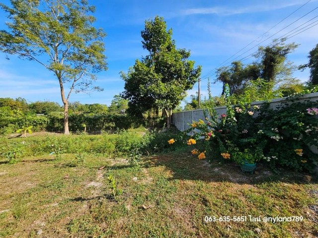 ขายบ้านสวนผลไม้ ใหม่เอี่ยมอ่อง ต.บ้านพริก อ.บ้านนา จ.นครนายก การเดินทางสะดวกสบาย ใกล้ตลาดบ้านนา