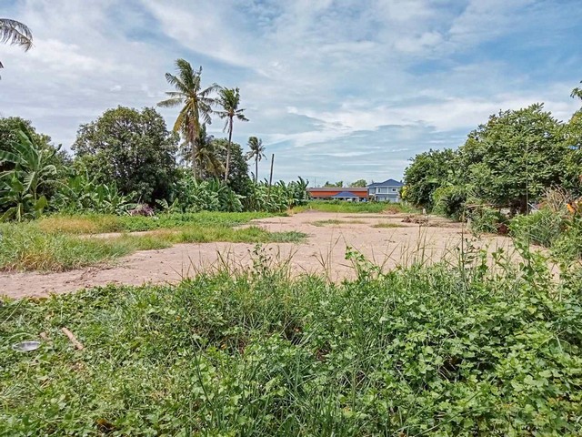 Sub0957ขาย ที่ดิน 1 ไร่ (400 ตารางวา)  ถมแน่นๆเรียบร้อยแล้วครับ  ทำเลดี บรรยากาศดีอยู่ที่ ต.บางจัก อำเภอ วิเศษชัยชาญ จ. อ่างทอง  ครับอยู่ใกล้สถานีตำรวจภูธรบางจัก ใกล้ ซีเจ ซูเปอร์มาร์เก็ต เซเว่น เทศบาลตำบลบางจัก โรงเรียนราษฎร์นิยมวิทยา ตลาดยิ่งอยู่ยิ่งรวย ปั้มน้ำมัน  PT   ...โรงพยาบาล วิเศษชัยชาญ 10 กิโลอำเภอ วิเศษชัยชาญ 6 กิโลโรงพยาบาลป่าโมก 11 กิโลวัดม่วง ประดิษฐานของพระพ