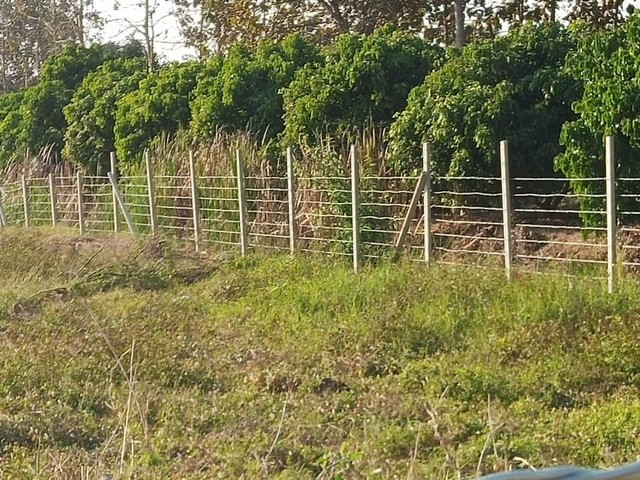 ขายที่ดิน 502ตรว.1.95ล้านบาท ถม ล้อมรั้ว ถนนลาดยาง เขตติดต่อ อ.สารภี-ต.อุโมงค์ เมืองลำพูน