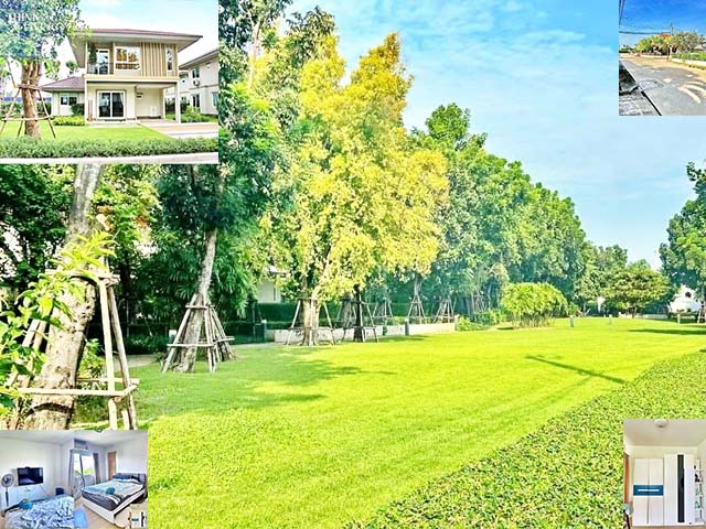 เซนทรัล เวสเกต วงแหวน ให้เช่าด่วน บ้านเดี่ยว 2 ชั้น พระราม5 กาญจนาภิเษก เฟอร์ครบพร้อมอยู่ 96ตรว. 285ตรม. 22,999B-M 3นอน 2น้ำ 2จอดรถ 4แอร์Central Westgate RingRoad Rama5 Kanchanaphisek for urgent rent 2-story house fully fur ready to move in 96sq.wa. 285sq.m. 22,999B-M 3bed 2bath 2parking 4A/C.ซอยพิชัยเขต ถนนบางม่วง-บางคูลัด ตำบลศาลากลาง อำเภอบางกรวย นนทบุรี3 ห้องนอน1 อเนกประสงค์ (ใช้เป็นห้องนอนผู้สูงอายุได้)2 ห้องน้ำแอร์ 4จอดรถได้ 2 คัน- ผ้าม่าน ทั้งหลัง- ชุดที่วางทีวี - เตียง 