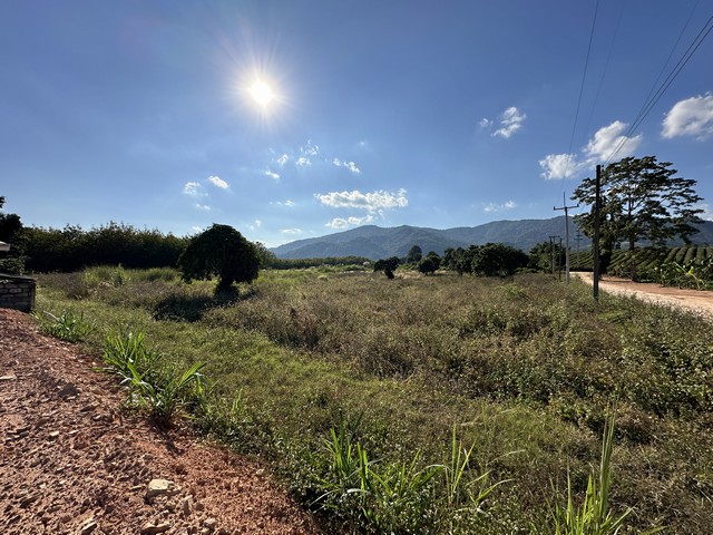 ที่ดินเปล่าแปลงมุม 5  ไร่ 29 ตร.ว  วิวเขาสวยเหมาะลงทุน ใกล้ ม.แม่ฟ้าหลวง ต.ท่าสุด อ.เมือง จ.เชียงราย