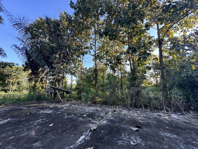 ที่ดินเปล่า3 ไร่ 390 ตร.ว ใกล้ ดอยตุง สวนแม่ฟ้าหลวง ต.โป่งงาม อ.แม่สาย จ.เชียงราย