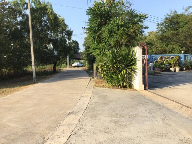 ขายที่ดิน พร้อมบ้านและอพาร์ทเมนท์เอสไดมอน  40 ห้อง หมู่ที่ 4 ต.โพไร่หวาน อ.เมือง จ.เพชรบุรี   ZW310