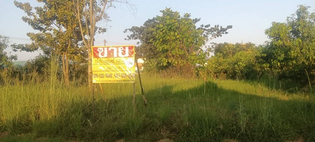 ZP072ขายที่ดินสวยเทศบาลเซกาที่ตั้งเทศบาลเซกาถนนธนาคารออมสินต.เซกา อ.เซกา จ.บึงกาฬพิกัดhttps://maps.app.goo.gl/vUPJcNcgYr2rn4d88เนื้อที่240ตร.วาหน้ากว้าง25ม ลึก30มสถานที่ใกล้เคียง-ห่างศูนยราชการ900ม-ห่างตลาดสด900ม-ห่างรพเซกา1.5กม.ราคา2,400,000บาทค่าโอนคนละครึ่งติดต่อ คุณพงษ์ 080 330 3924คุณอร    089 840 2181คุณเกรท097 056 4510