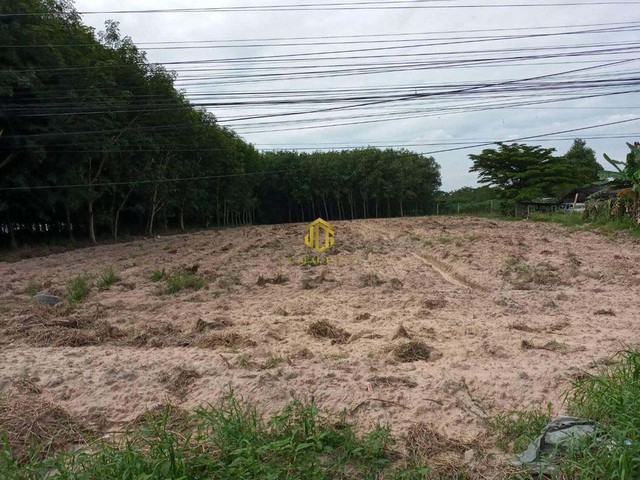 ขายที่ดิน 11-3-95 ไร่ ใกล้ถนน 36 อยู่พนานิคม จ.ระยอง